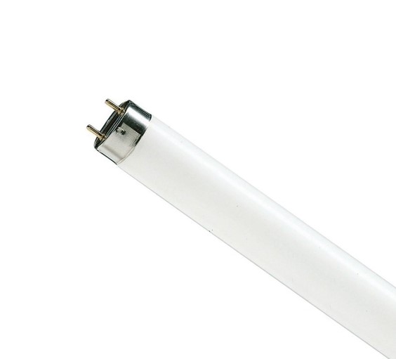 LAMPADA FLUORESCENTE 15W LUZ DO DIA T8 - ...